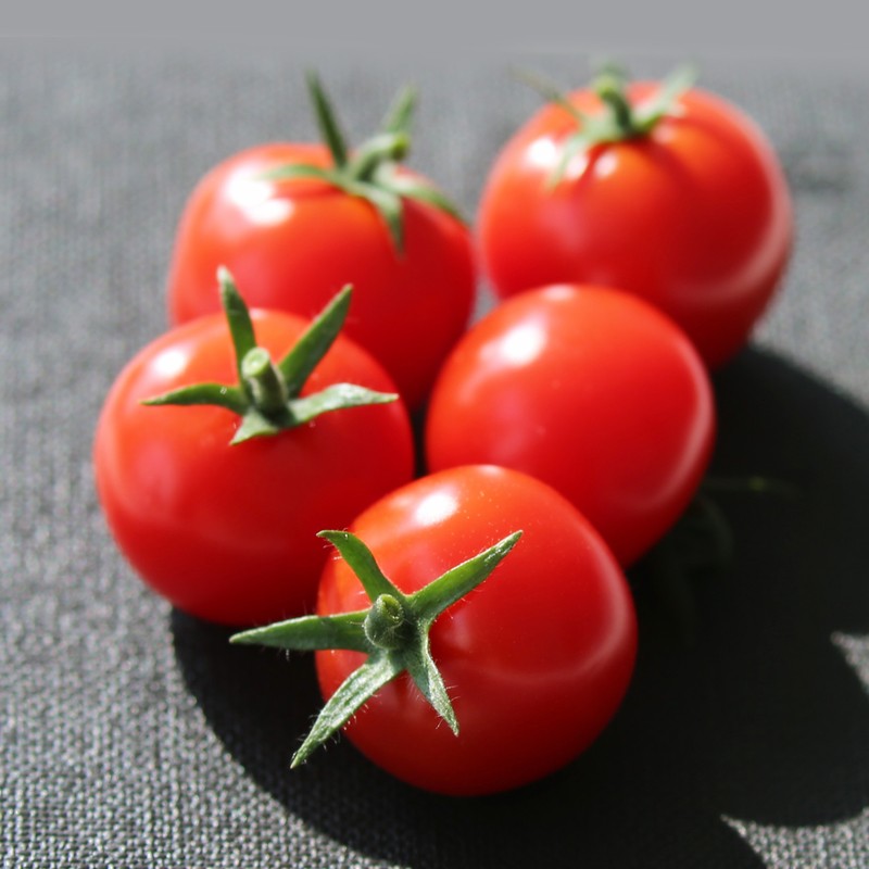 MG冰球突破试玩--手机版app官网