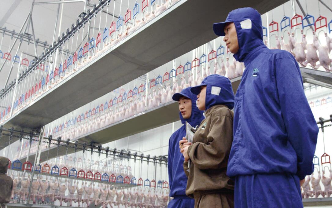 MG冰球突破试玩--手机版app官网