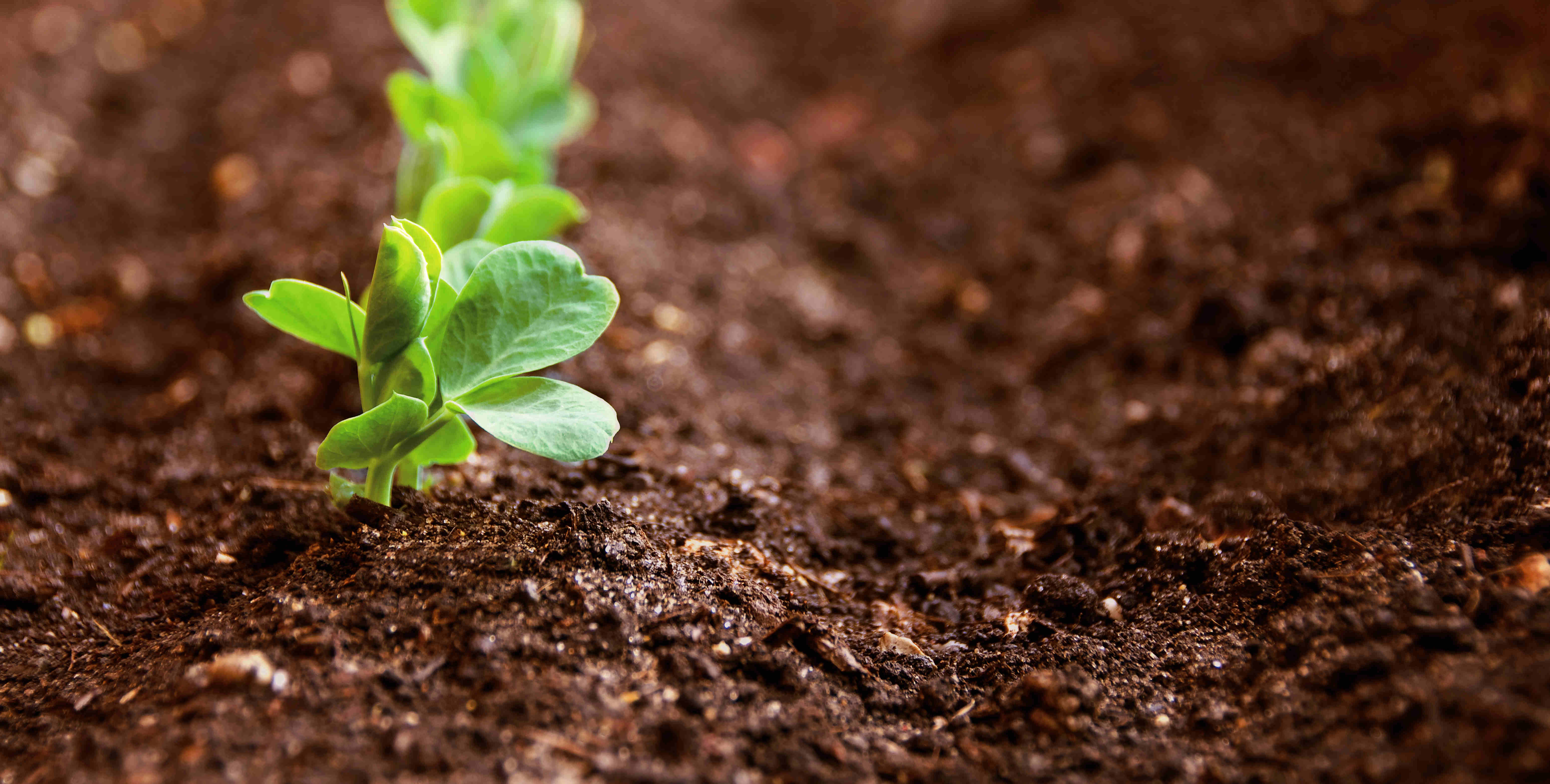 MG冰球突破试玩--手机版app官网