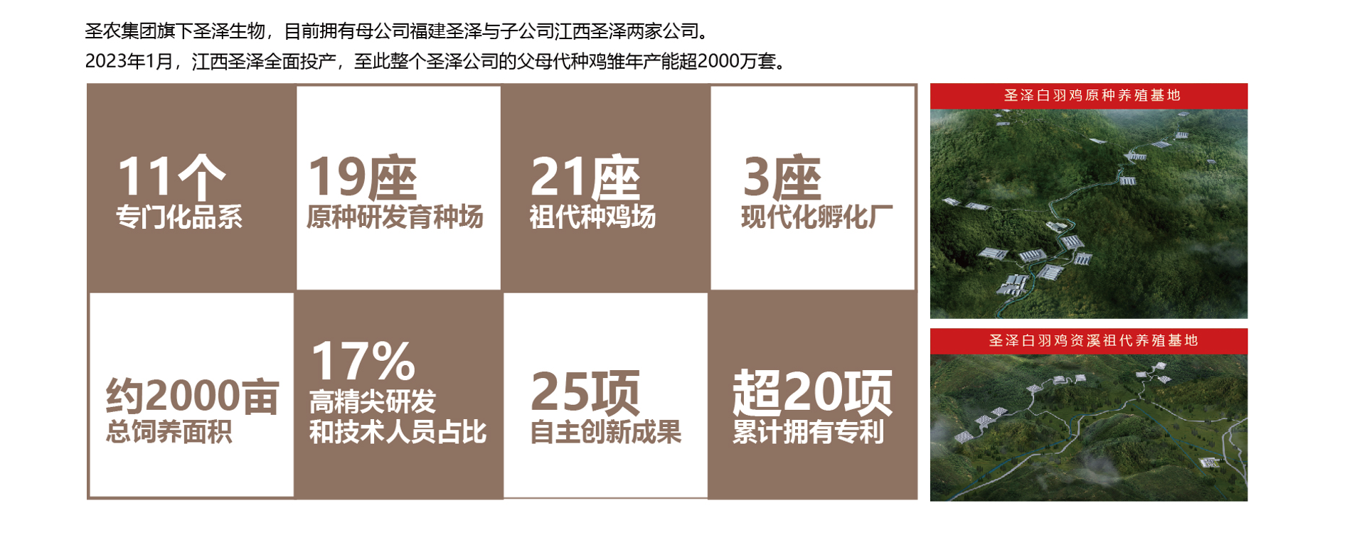 MG冰球突破试玩--手机版app官网